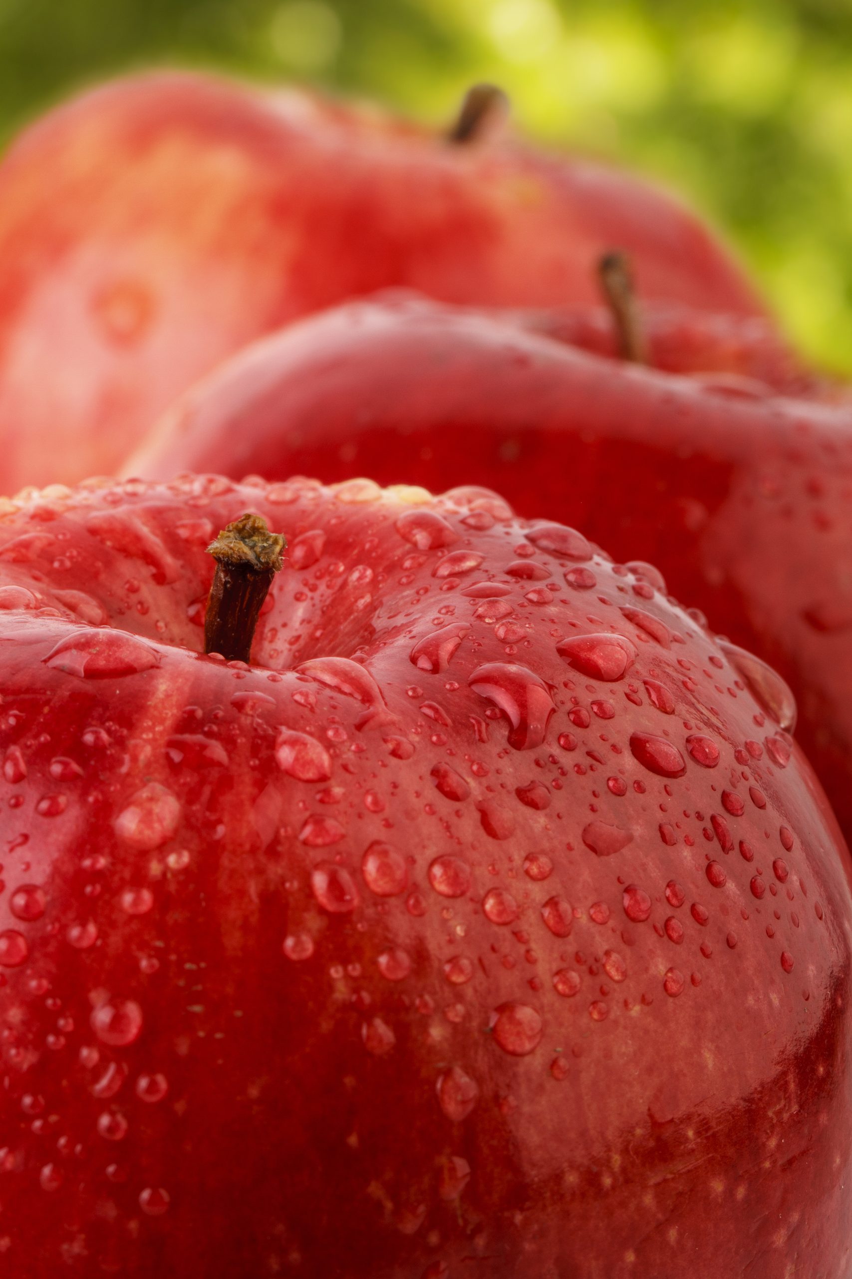 Fruits – seeds
